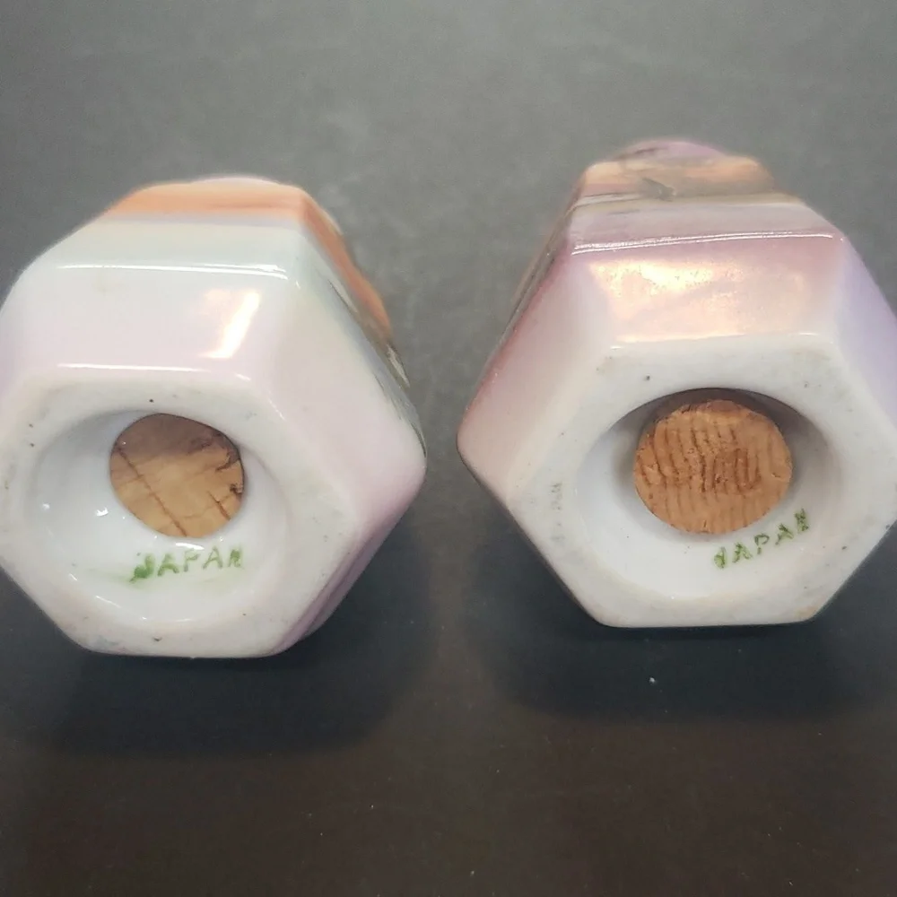 Vintage Made in Japan Handpainted Salt and Pepper Shakers